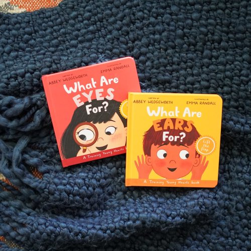 What Are Eyes For? Board Book