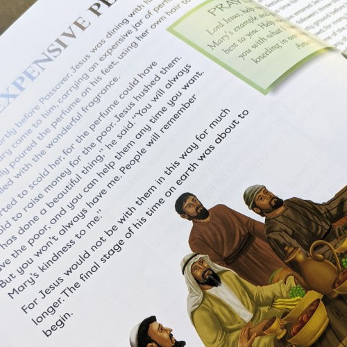 The Complete Illustrated Daily Verse and Prayer Bible