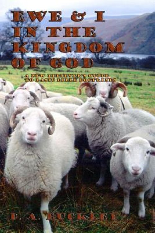 Ewe & I In The Kingdom of God: A New Believer's Guide to Basic Bible Doctrines