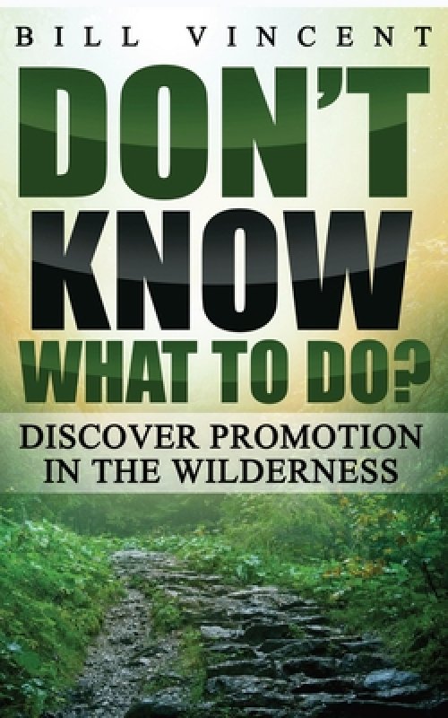 Don't Know What to Do?: Discover Promotion in the Wilderness