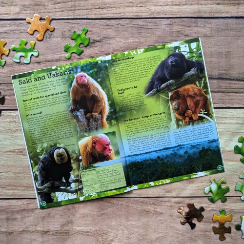 World of Discovery  Large Jigsaw/Book Set - Primates