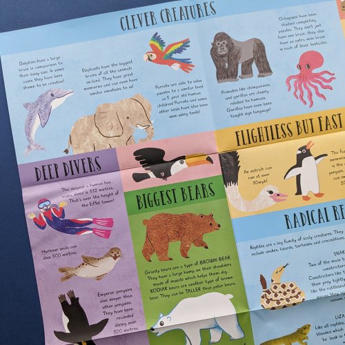 Large Question-And-Answer Flap Book - Animals