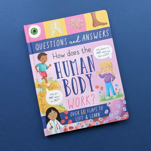 Large Question-And-Answer Flap Book - Human Body