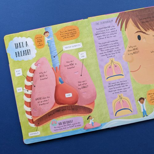 Large Question-And-Answer Flap Book - Human Body