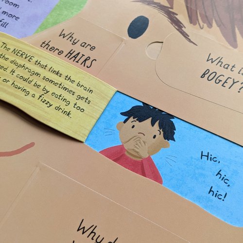 Large Question-And-Answer Flap Book - Human Body