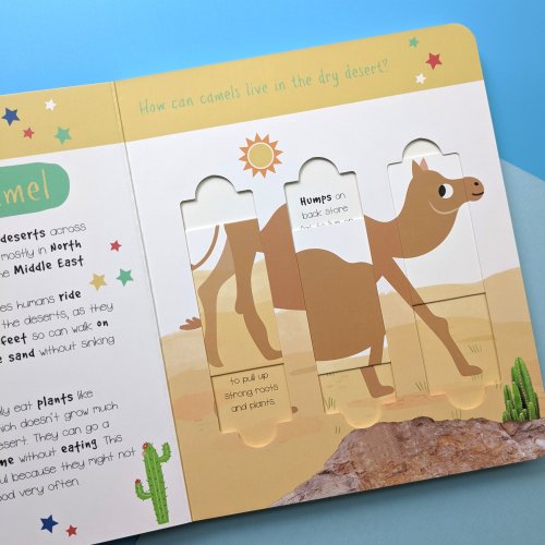 Little Wonders Puzzle Slider Books - Desert Animals