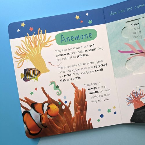 Little Wonders Puzzle Slider Books - Sea Animals