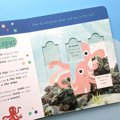 Little Wonders Puzzle Slider Books - Sea Animals