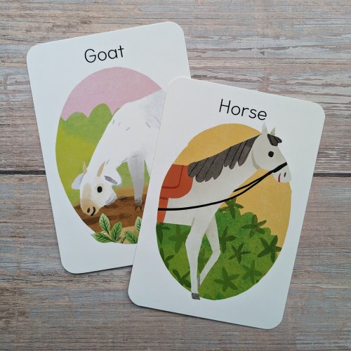 Flash Card Gift Set - Donkey