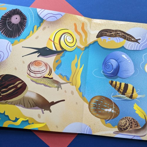 Nature Look And Find Board Book - Minibeasts