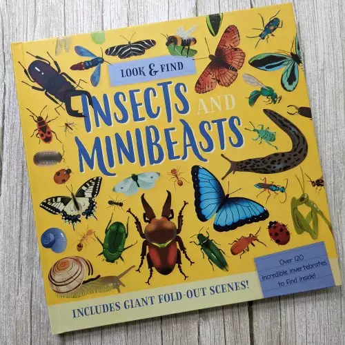 Nature Look And Find Board Book - Minibeasts