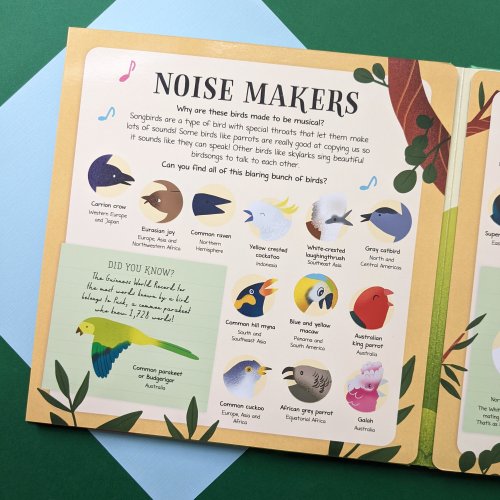 Nature Look And Find Board Book - Birds