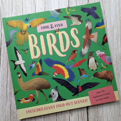 Nature Look And Find Board Book - Birds