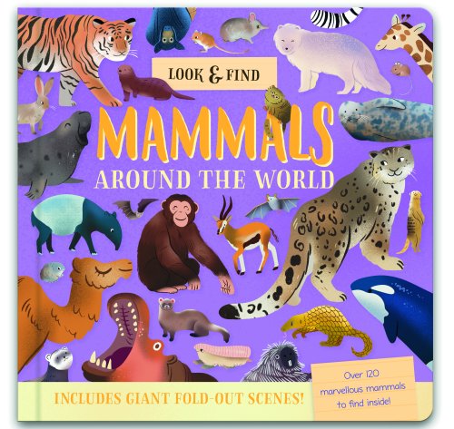 Nature Look And Find Board Book - Mammals Around the World