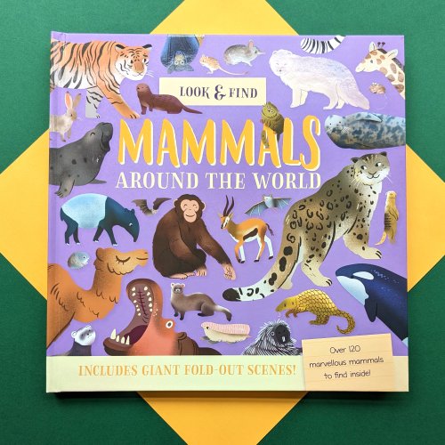 Nature Look And Find Board Book - Mammals Around the World