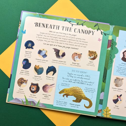 Nature Look And Find Board Book - Mammals Around the World