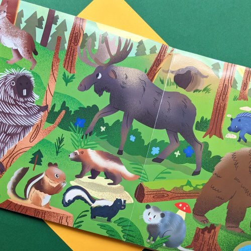 Nature Look And Find Board Book - Mammals Around the World