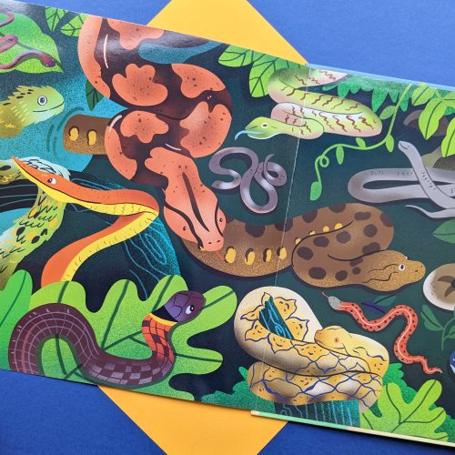 Nature Look And Find Board Book - Reptiles & Amphibians