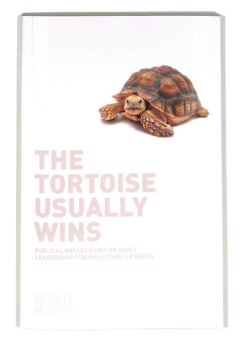 The Tortoise Usually Wins 