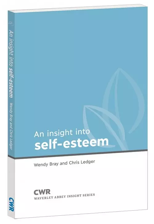 Insight Into Self Esteem