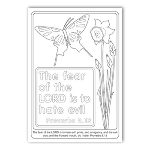 Series 2 Colouring Book: The Fear of the LORD