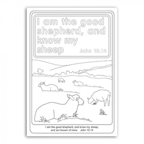 Colouring Book - God's Creatures