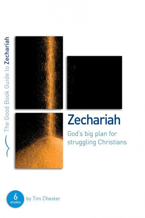 Zechariah : God's Big Plan for Struggling Christians