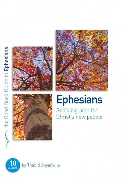 Ephesians - God's big plan for Christ's new people