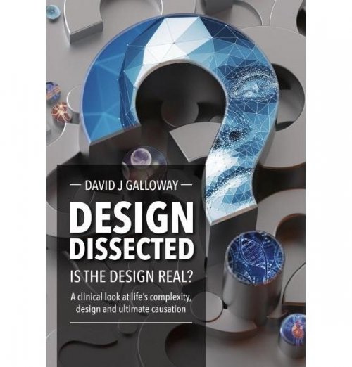 Design Dissected