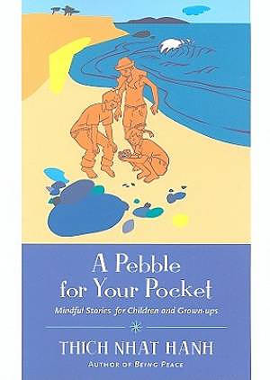 A Pebble for Your Pocket