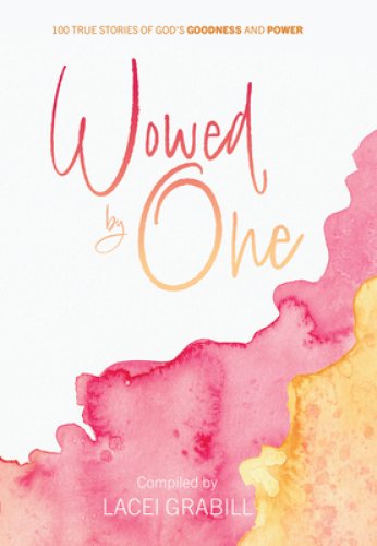 Wowed by One: 100 True Stories of God's Goodness and Power