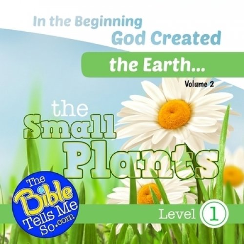 In the Beginning God Created the Earth - The Small Plants