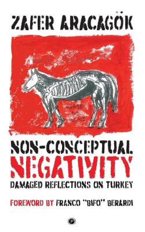 Non-Conceptual Negativity: Damaged Reflections on Turkey