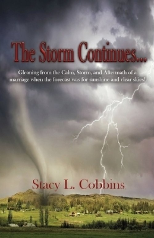 The Storm Continues...: Gleaning from the Calm, Storm, and Aftermath of a marriage when the forecast was for sunshine and clear skies!