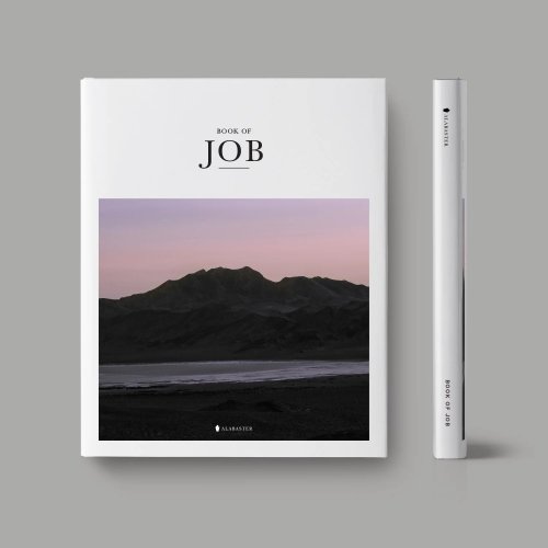 NLT Alabaster Book of Job, White, Paperback