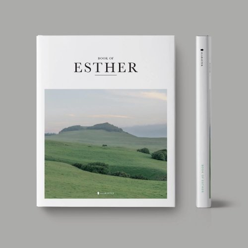 NLT Alabaster Book of Esther, White, Paperback