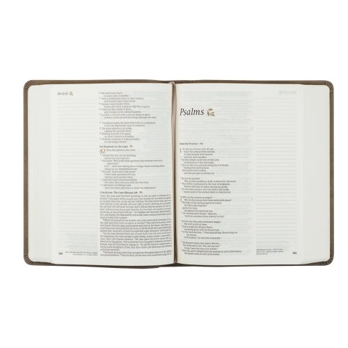 Hosanna Revival NLT Notetaking Bible – Beautiful Marlo Theme for Journaling