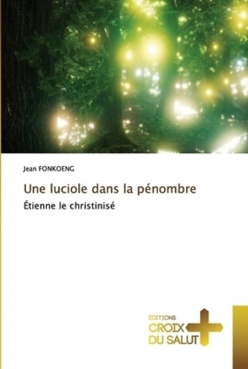 Luciole Dans La Penombre