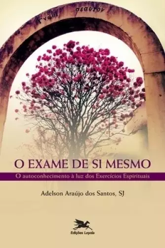 Exame De Si Mesmo (o) - O Autoconhecimento A Luz Dos Exercicios Espirituais