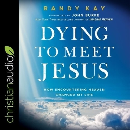 Dying to Meet Jesus: How Encountering Heaven Changed My Life