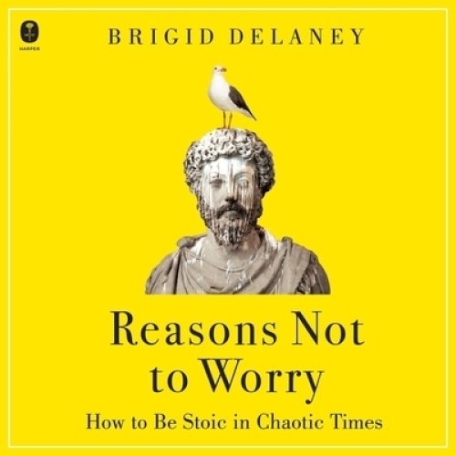 Reasons Not to Worry: How to Be Stoic in Chaotic Times