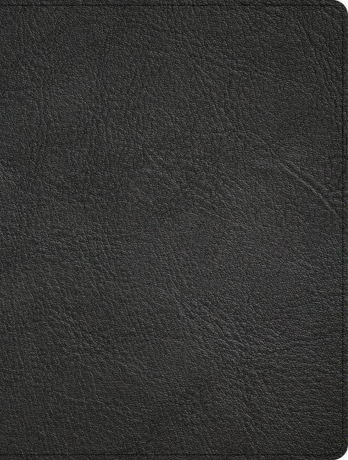 CSB Men of Character Bible, Revised and Updated, Black Genuine Leather