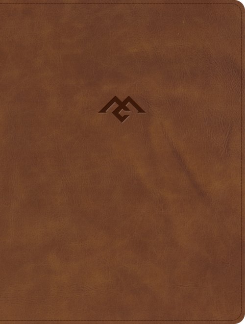 CSB Men of Character Bible, Revised and Updated, Brown LeatherTouch