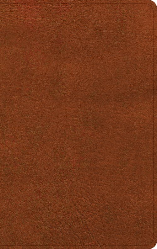 NASB Single-Column Personal Size Bible, Burnt Sienna LeatherTouch