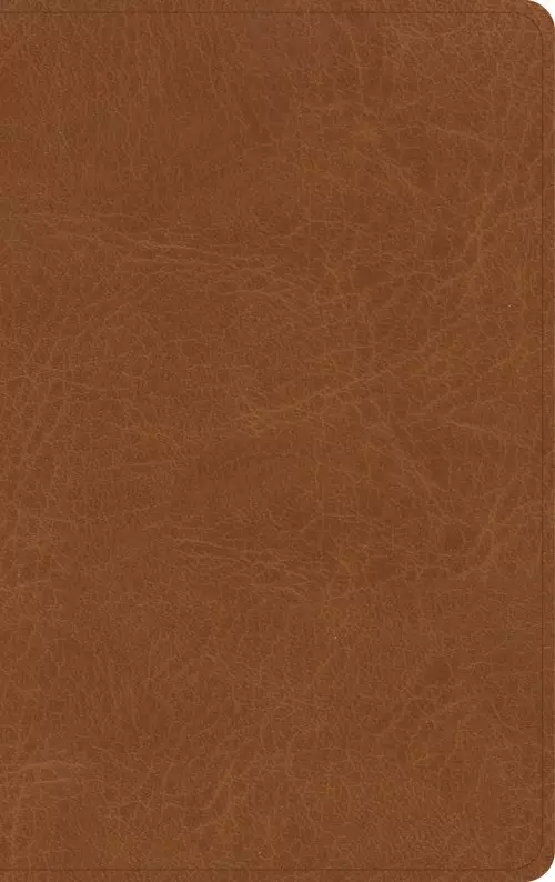 NASB Single-Column Personal Size Bible, Tan Genuine Leather