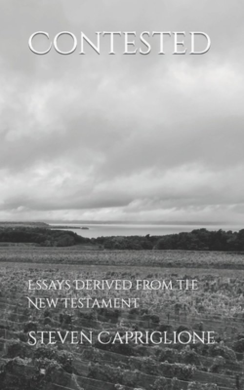 Contested: Essays Derived from the New Testament