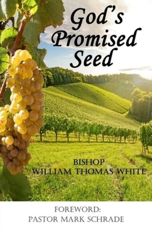 God's  Promised  Seed: Book Studies of Jesus the Christ