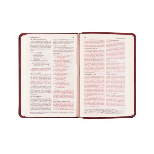 NLT Compact Bible: Helena Theme