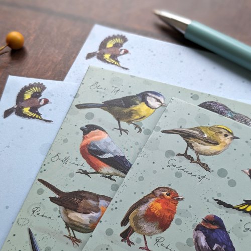 Notecard And Pen Set Boxed - Patricia Maccarthy Birds