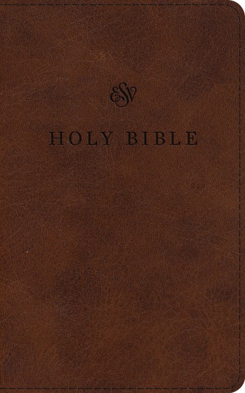 ESV Premium Church Bible, Large Print (TruTone, Brown)